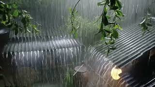 Drift into Deep Sleep with the Rhythm of Rain and Thunder