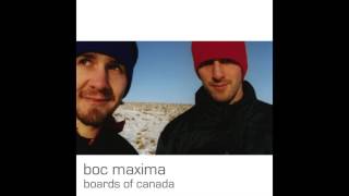 Boards Of Canada - one very important thought