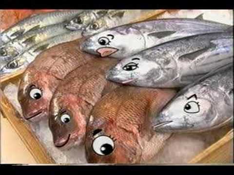 あんくる夢市場CM(魚＆野菜トーク編)