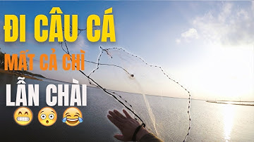 Đi câu cá mất cả chì lẫn chài - Cuộc Sống Bên Mỹ 48