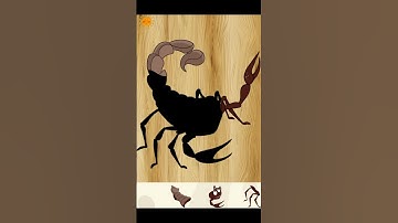 #shortsvideo : Xếp con  Bọ Cạp - Scorpion Stack #shorts