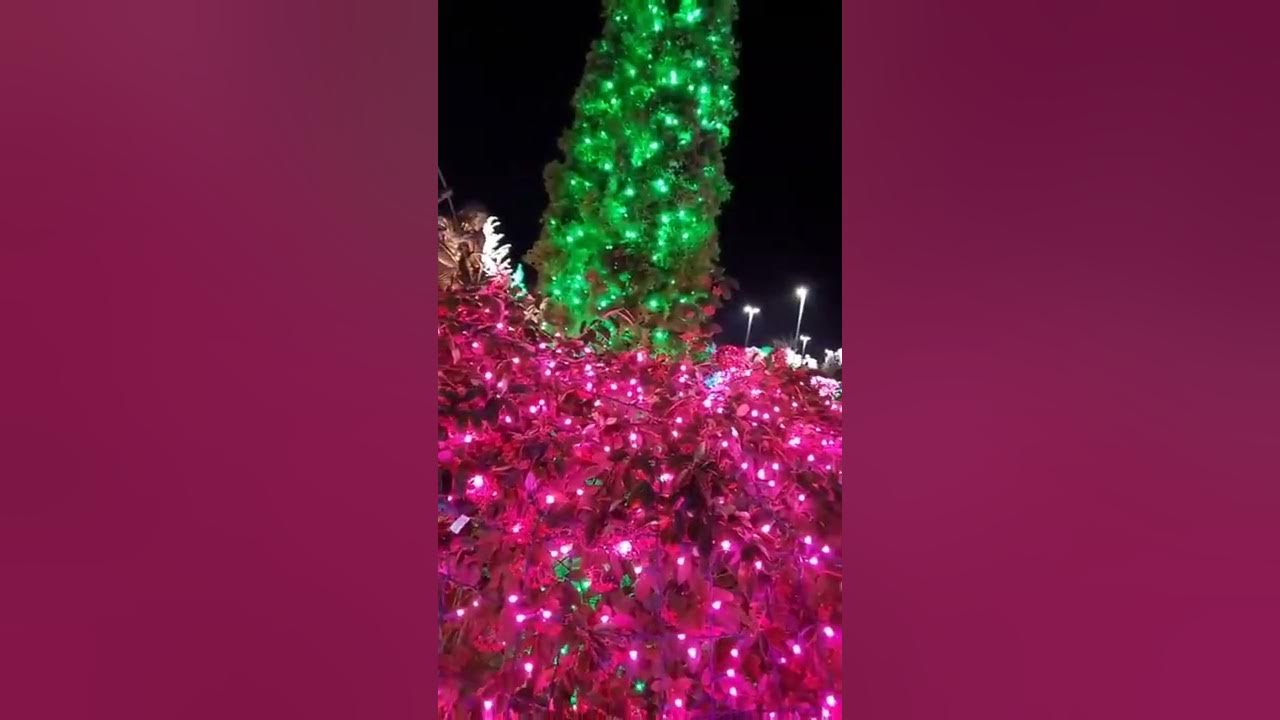 Tulalip Casino Christmas Lights 2022 YouTube