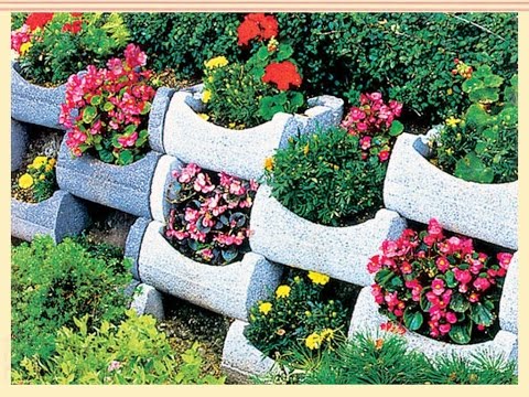 Video: Topiary, Použití Ořezaných Okrasných Rostlin Pro Domácí A Zahradní Dekorace