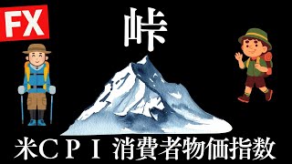 含損1350万円で地獄の米CPI　今夜が峠　もう無理ですこのドル高円安。　【FXライブ】7/15 21:00〜