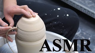 Trimming ASMR / 한송이화병 정형