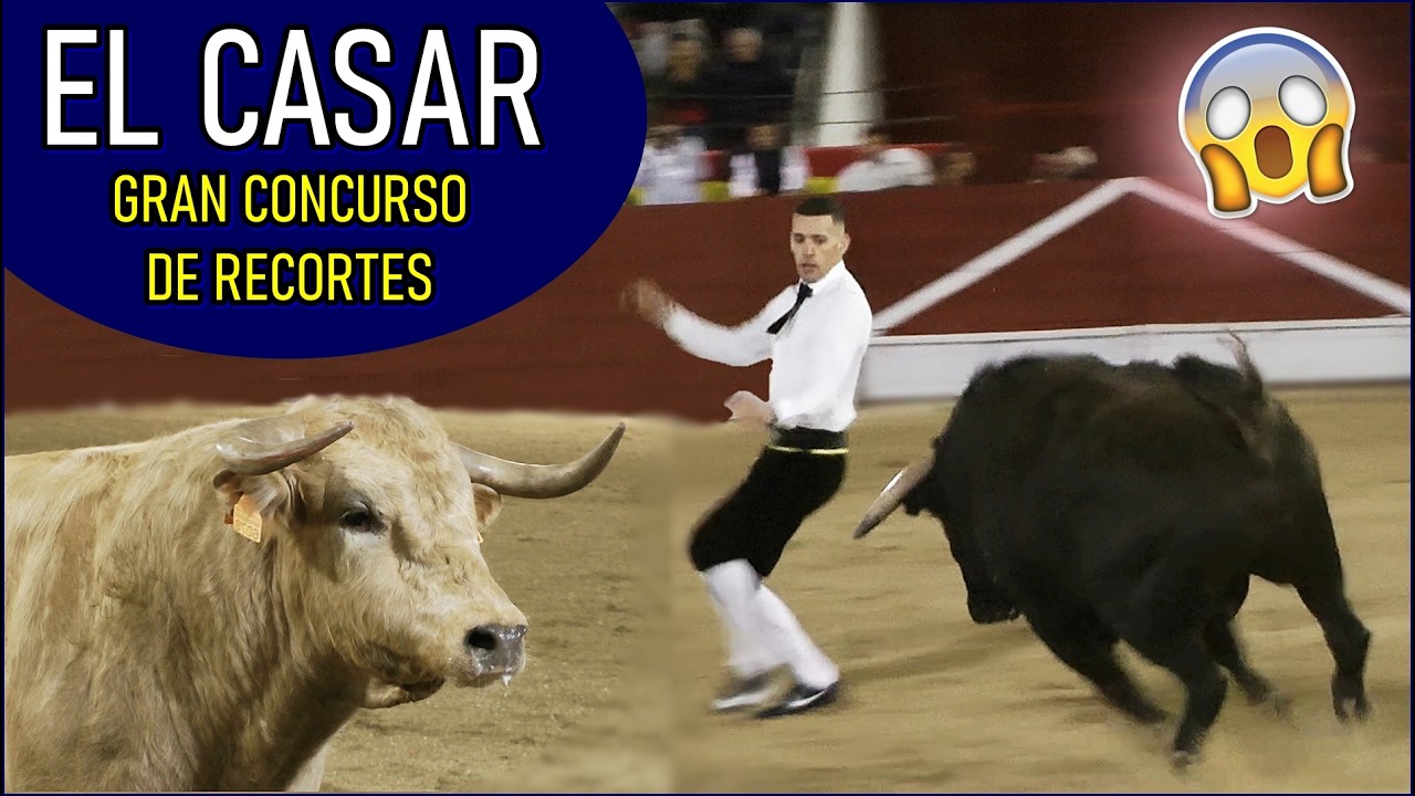 CONCURSO GOYESCO EL CASAR