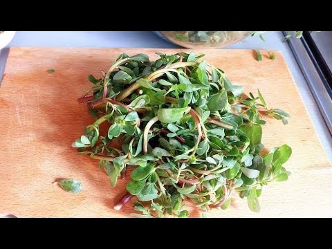 Video: Olika sorters paprika - Lär dig om olika sorters paprika