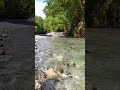 【自然の音 - 3min】清流の石とせせらぎ