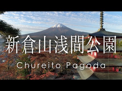 絶景 空撮 新倉山浅間公園 忠霊塔の紅葉と富士山 - Autumn