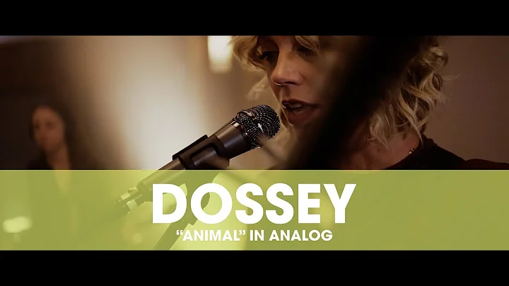 DOSSEY: "Animal" | In Analog