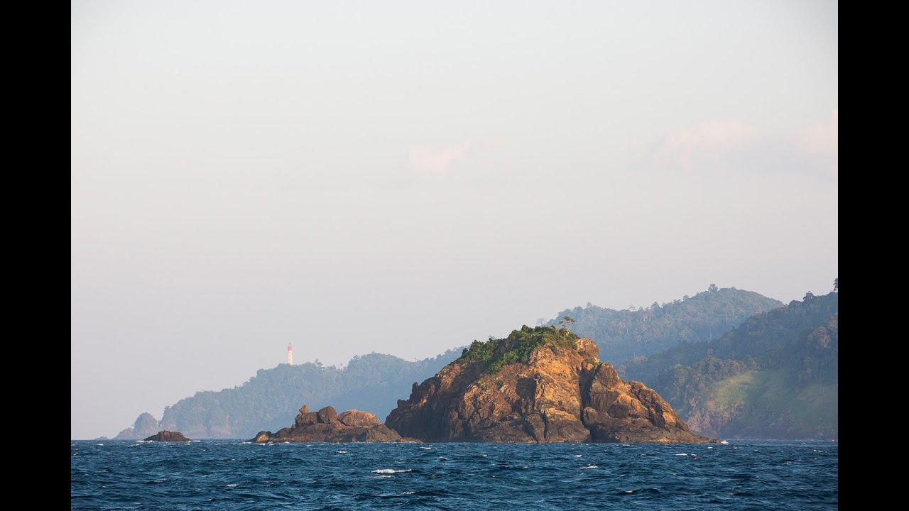 Amazingly Green | Volvo Ocean Race 2014-15