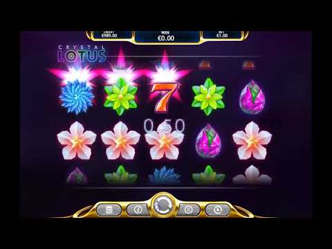 🥊 FIGHTER PIT (Hacksaw Gaming) EPIC BIG BONUS BUY WIN!