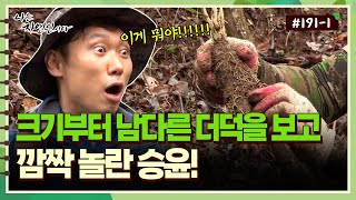 [자연인] 191-1 여기 이상해.. 크기부터 남다른 더덕을 보고 깜짝 놀란 승윤!