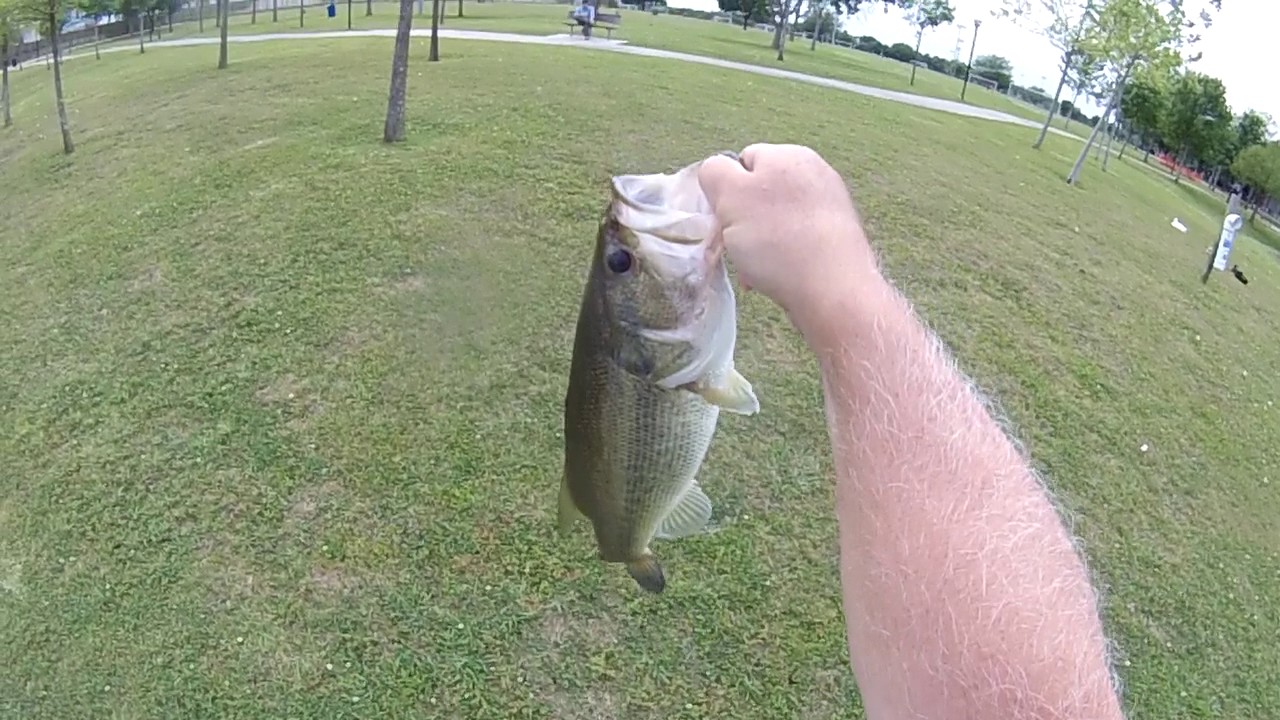 Sugar Land Bass Fishing 20170402 YouTube