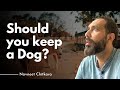 Should you keep a Dog? | Vedic Astrology | Astro Scientist Navneet Chitkara