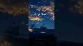 ياطير يامسافر له /حالات وستوريات واتس اب انستا مع الكلمات #mostafasizar____sy #تصويري