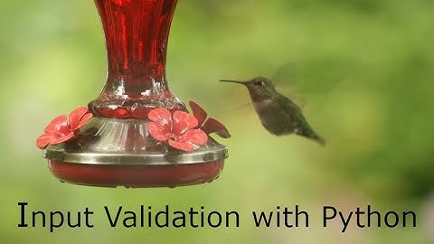 Input Validation with Python