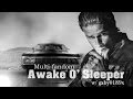 Awake o sleeper  multifandom collab w gaby0189x