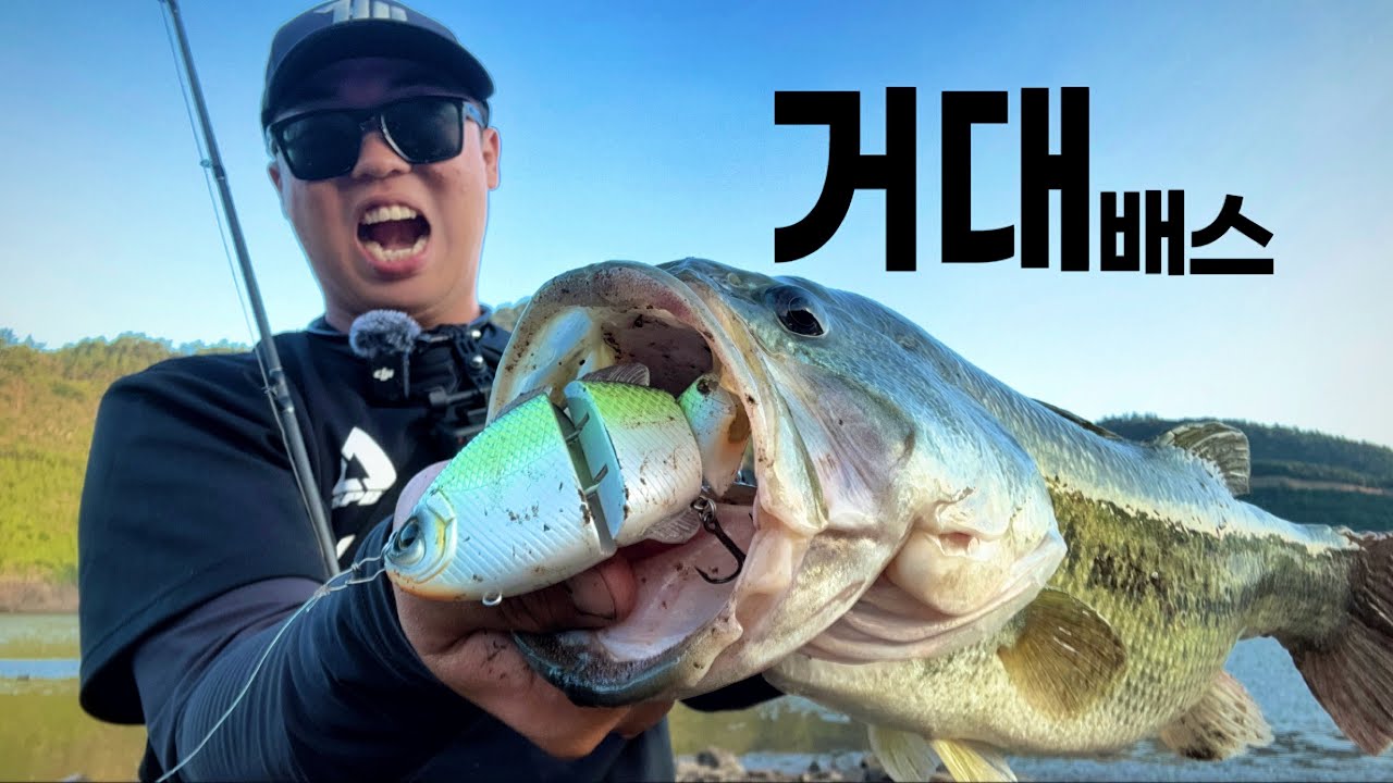 빅베이트를 한입에 삼킨 거대배스! 배스들은 무엇을 원할까? [with 신현민]