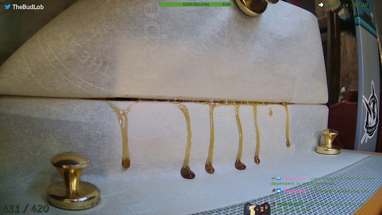 Jack Herer Rosin [205F / 37u] Budget 10Ton Rosin Press
