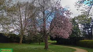 Queen Bee Bl T 0Ne Of My Upportr , Karen Went To The Emby