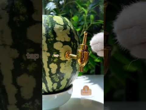 Meow 🍉Awesome Iced Watermelon Party Keg😍 | Easy Summer Drinks | Cat Cooking-TikTok #Shorts