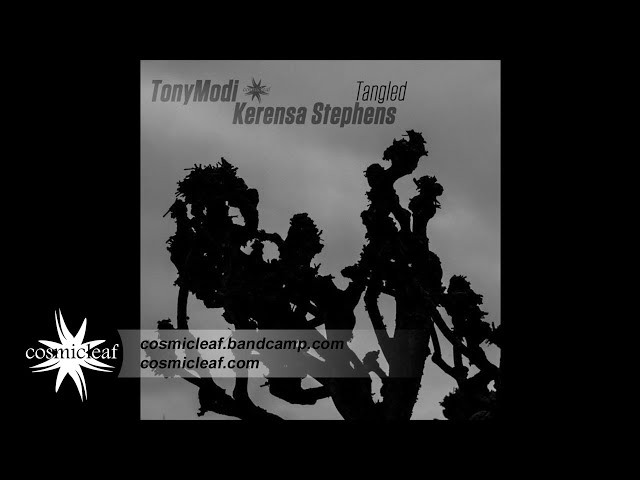 TonyModi & Kerensa Stephens - A Wonderful Walk