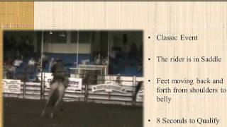 Prime Time Rodeo Introduction