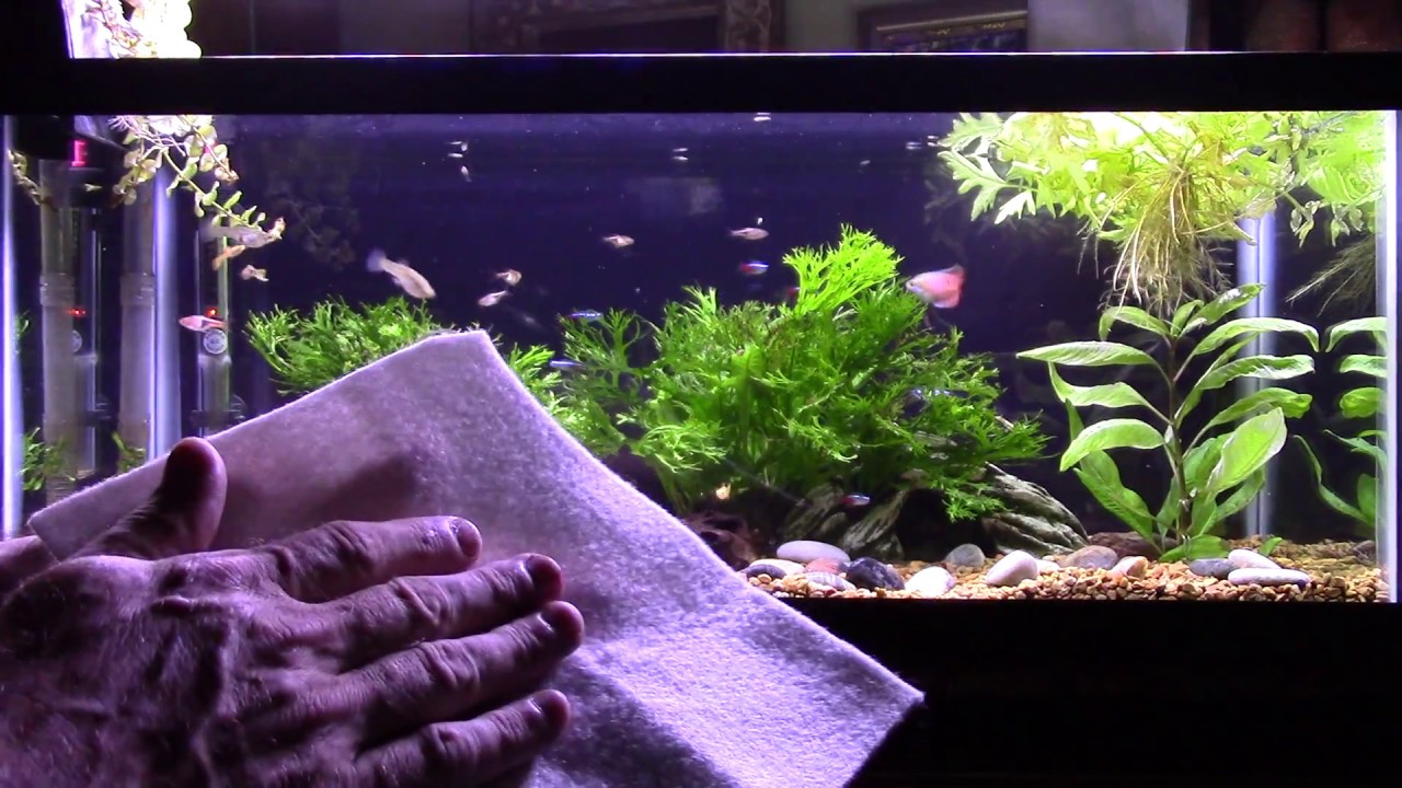 polishing pad for aquarium