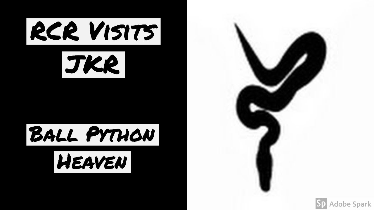 clown knife fish RCR VISITS JKR - Ball Python Heaven!!