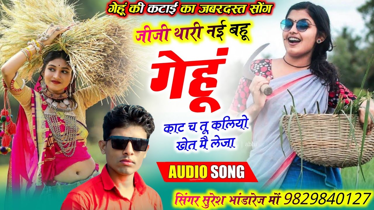 गेहूं कटाई का शानदार सोंग !! जीजी थारी नई बहू गेहूं काट च तू कलियों खेत मै लेजा !! सुरेश भांडारेज