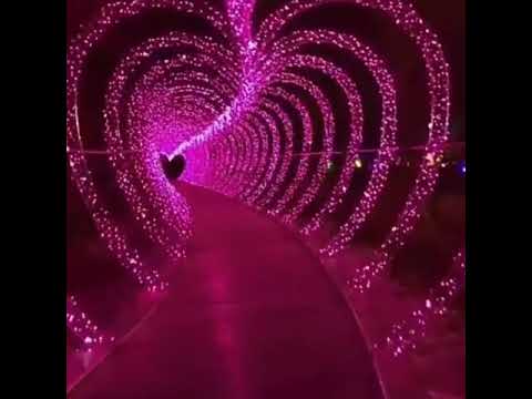 أنت وحدك بلقلب K A 