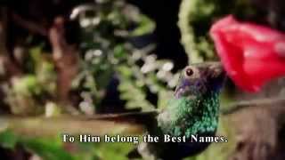 Muhammad Al-Luhaidan | Surah Al-Hashr | The Mighty Names of Allah (SWT)