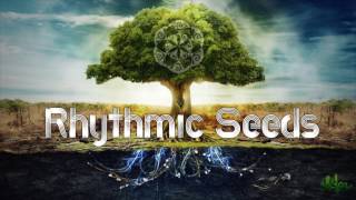 Rhythmic Seeds at Paradise One - Highlights