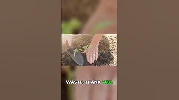 Shocking Science: Bamboo vs. Plastic Breakdown!