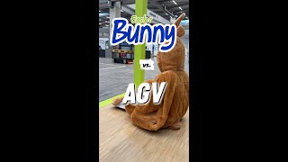 Bunny vs. AGV - The Easter Challenge