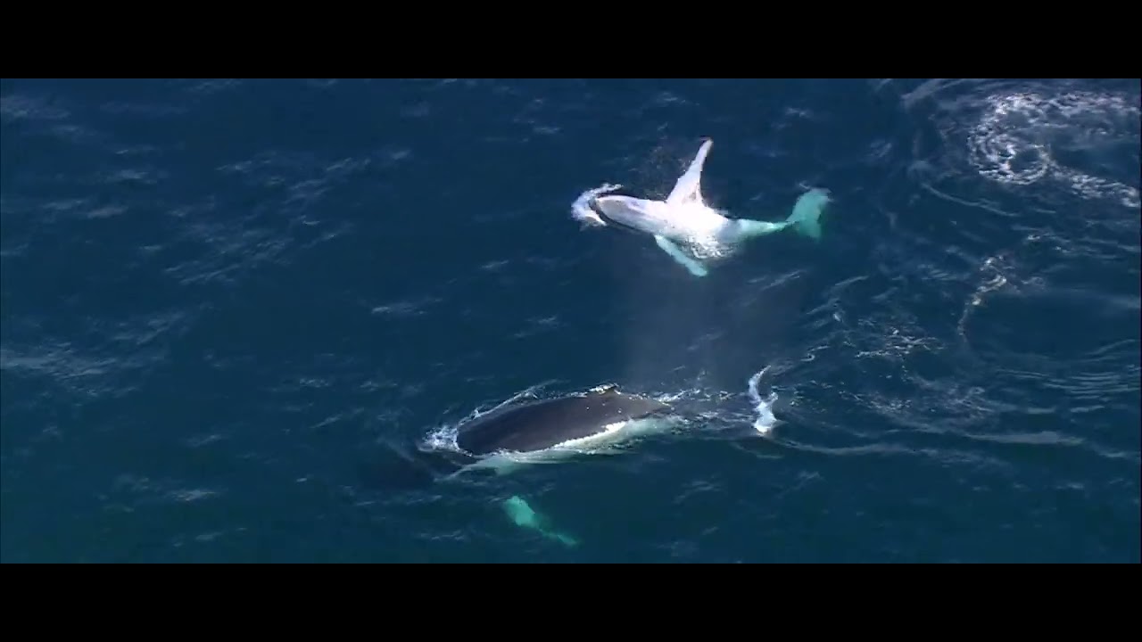 Monterey Plaza Hotel