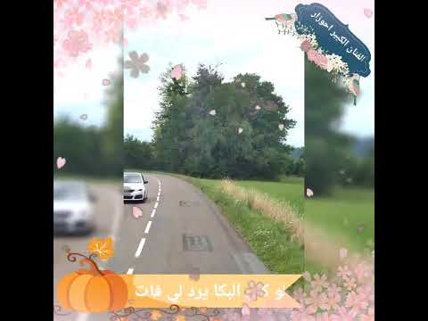 الفنان احوزار لو كان البكا يرد لي فات