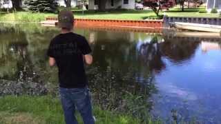 Algonac Behind The Library