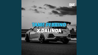 DJ Tame Pebrino X Dalinda Dangdut Style