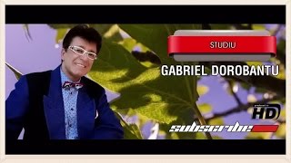 Gabriel Dorobantu - Studiu