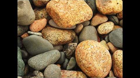 Tide Pool (Official Music Video)