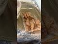 Думаю с возрастом все поменяется и я уже буду думать как похудеть) А пока так;)