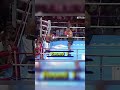 Zemsta Tysona #tyson #boxing #box