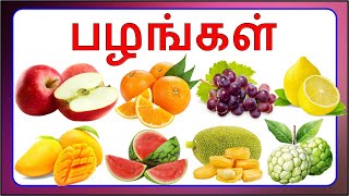 Fruits names in Tamil/பழங்களின் பெயர்கள் தமிழில்/Paḻaṅkaḷiṉ peyarkaḷ tamiḻ