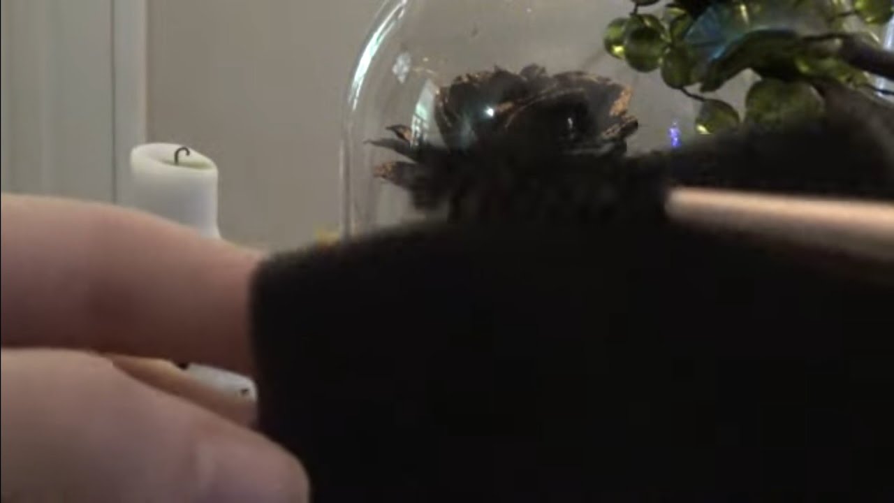 ASMR: Scratching objects on camera | actual camera touching | No talking