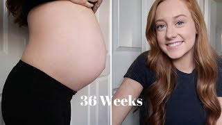 36 Week Update \/\/ Baby Shower Haul