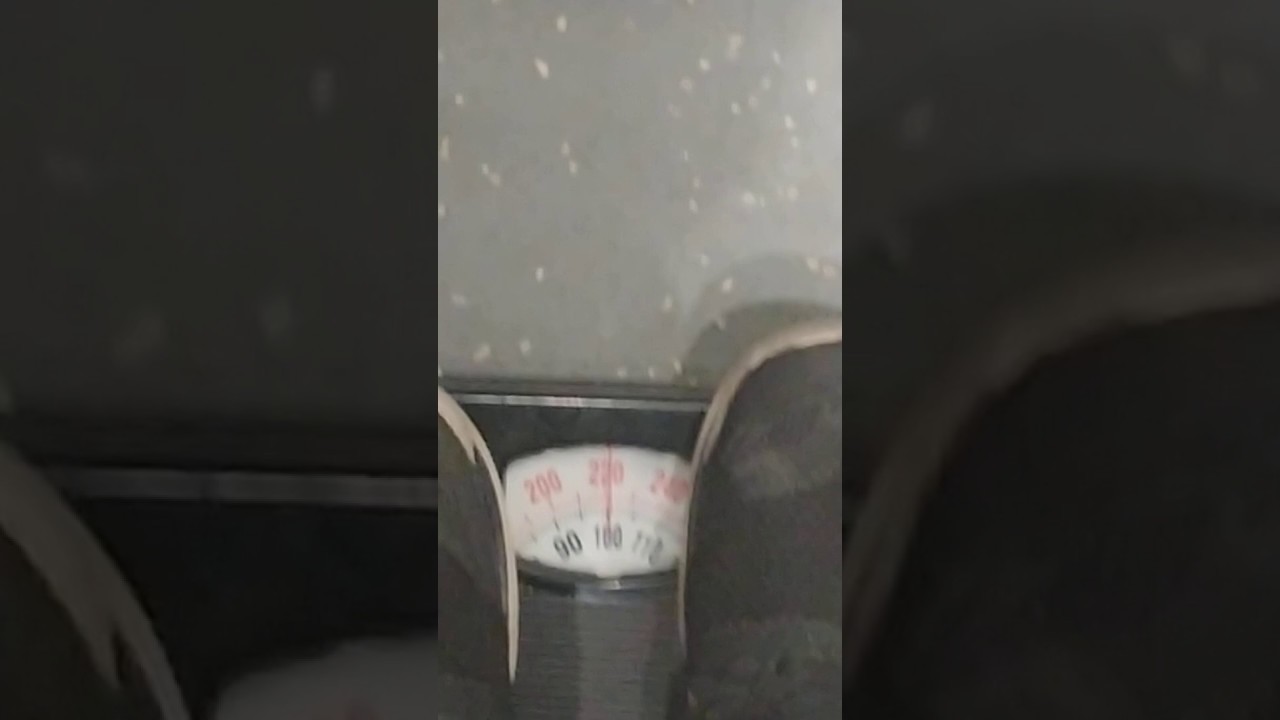 Physics elevator/Scale lab