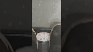 Physics elevator/Scale lab