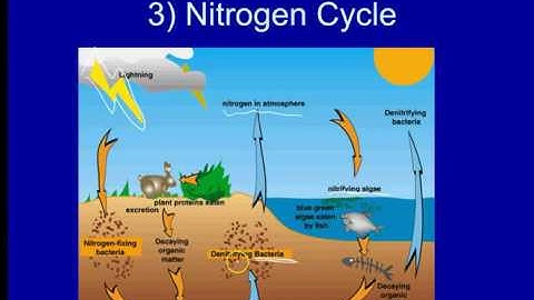 Ecology #4 Nutrient Cycles